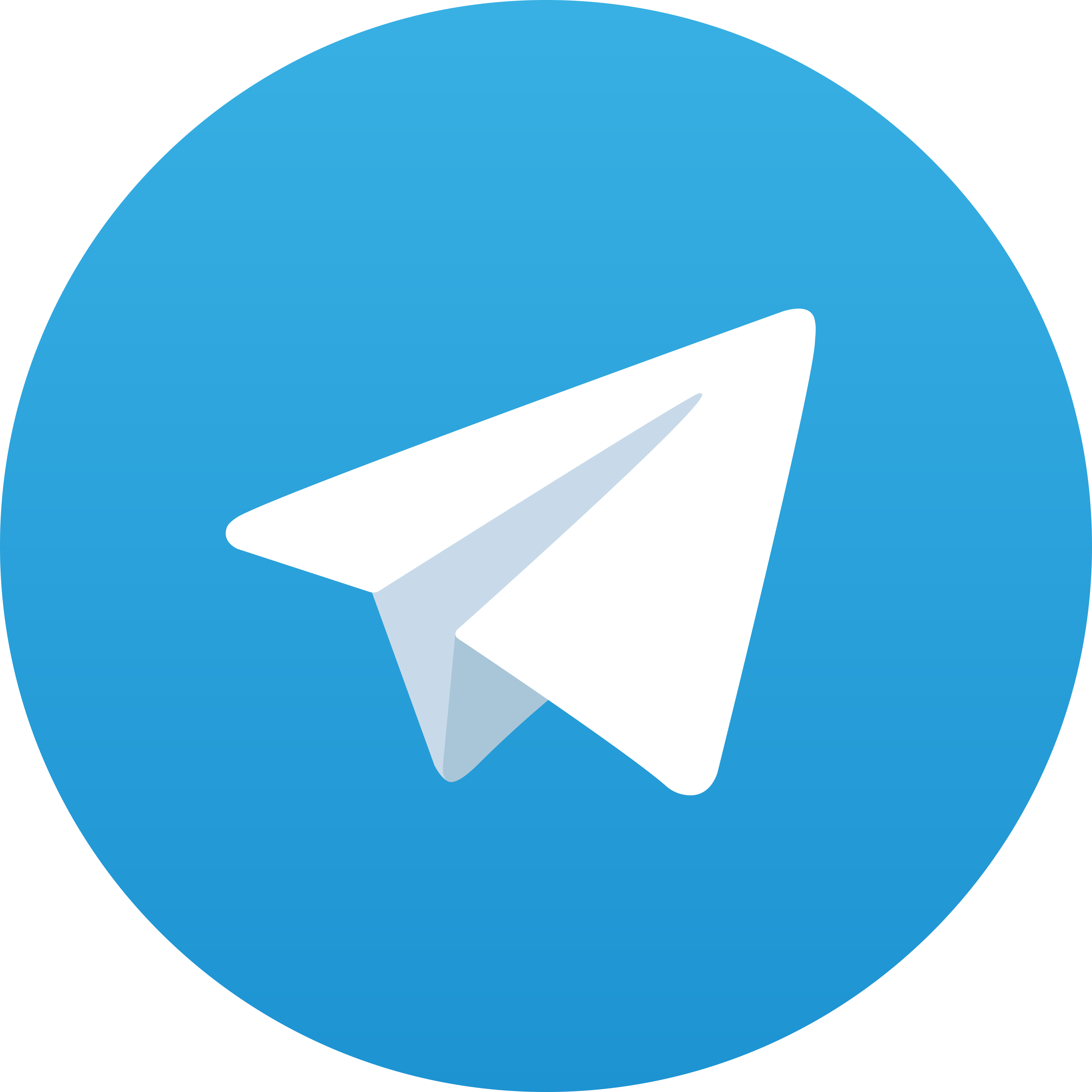 Telegram Sal88